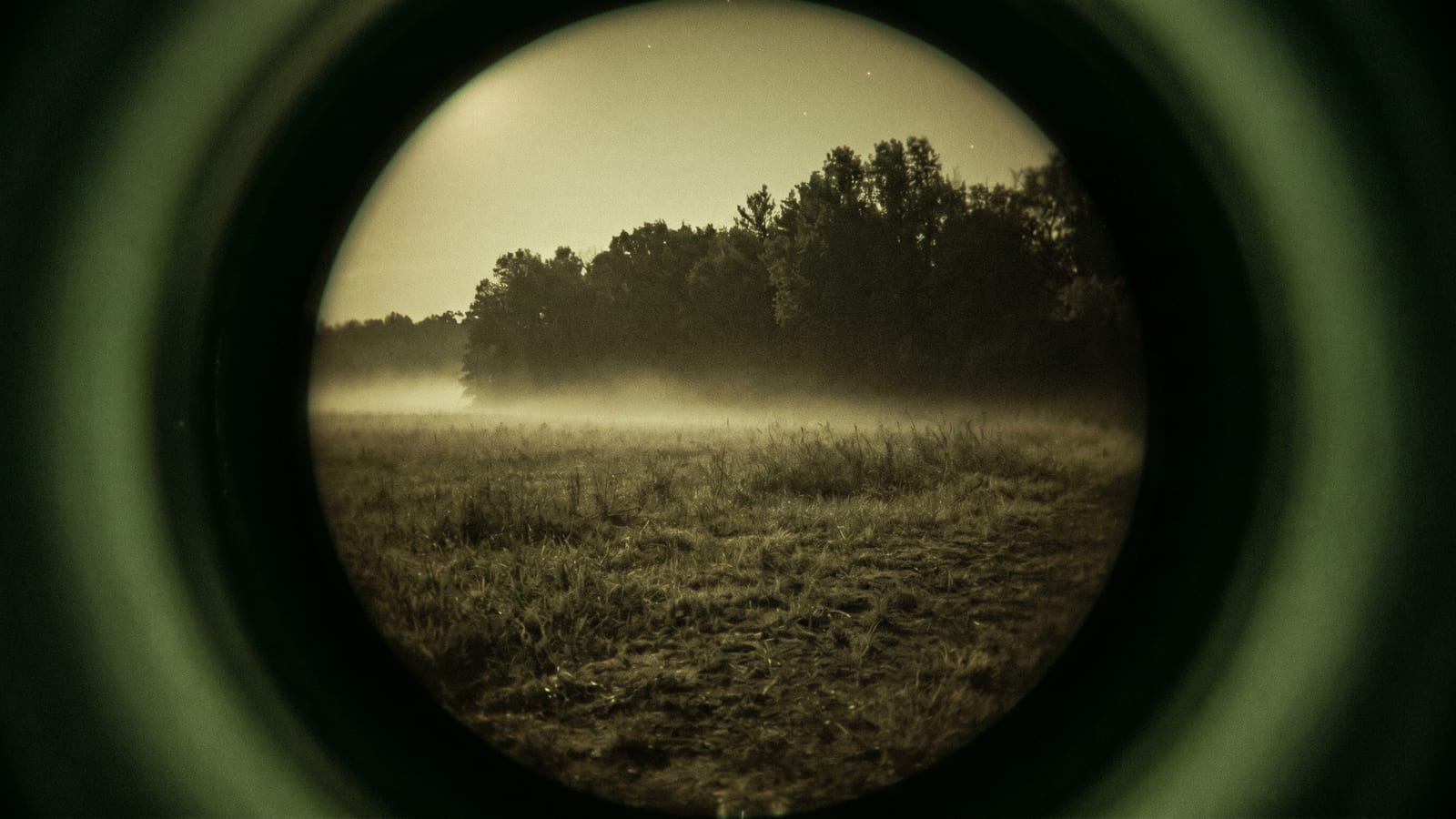 Night Vision vs Red Dot for Hog Hunting in the Dark